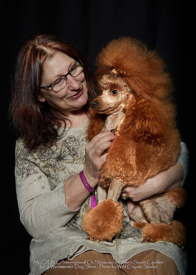 Shiann Poodles