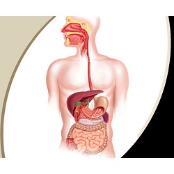 Advanced Gastroenterology