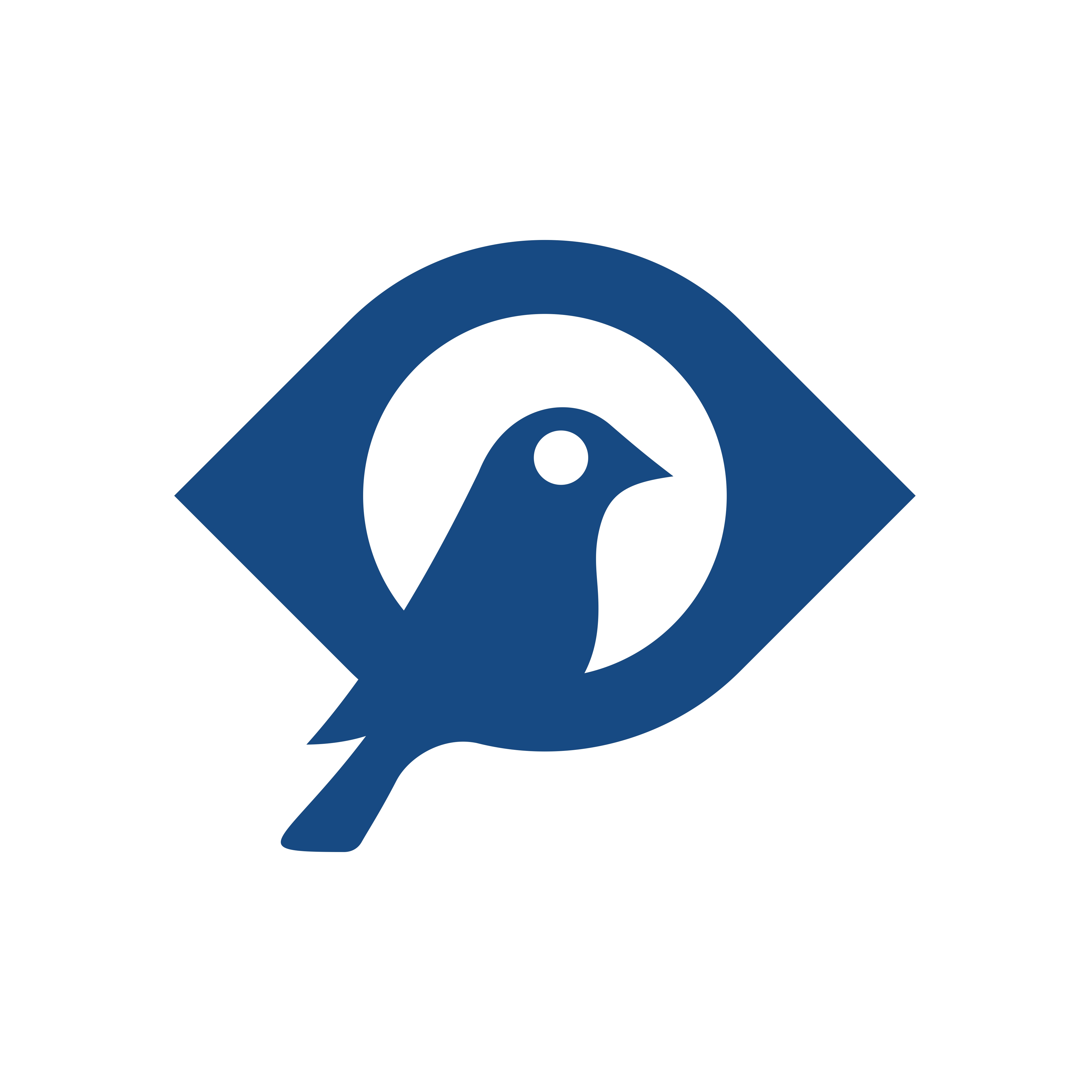 Apple Financial Network Inc.