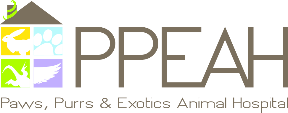 Paws Purrs & Exotics Animal Hospital