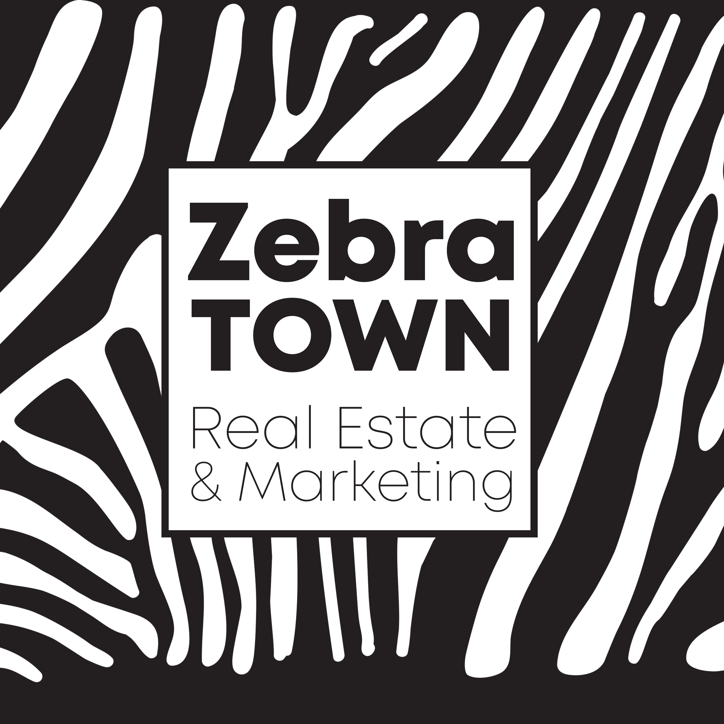 Zebra Town Real Estate & Marketing