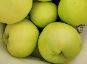 Troy Apple Festival