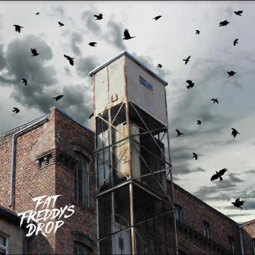 FAT FREDDY’S DROP - BLACK BIRD 2枚組 Blackbird | Fat Freddy's Drop