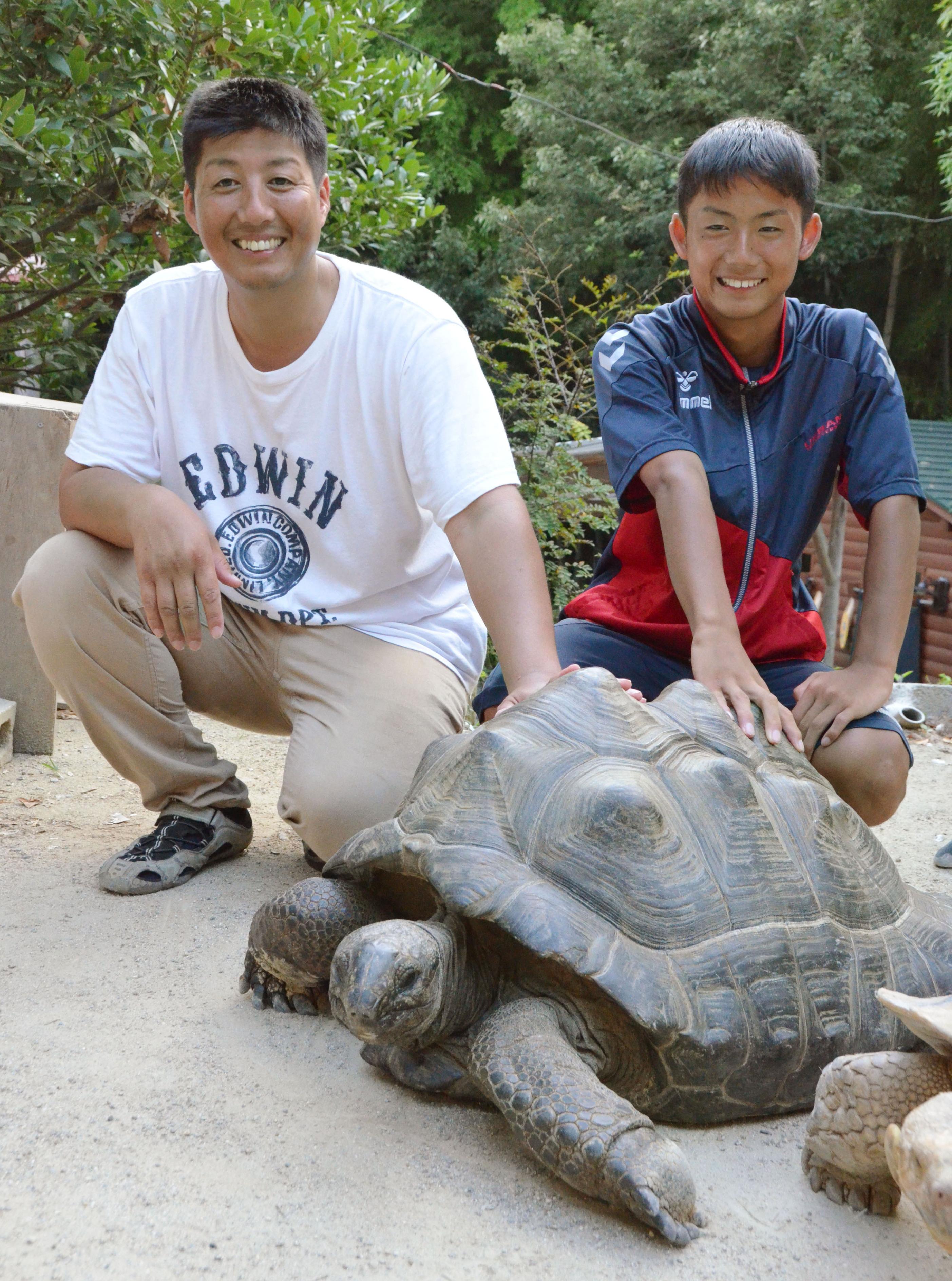 Missing giant tortoise found in mountains in Japan