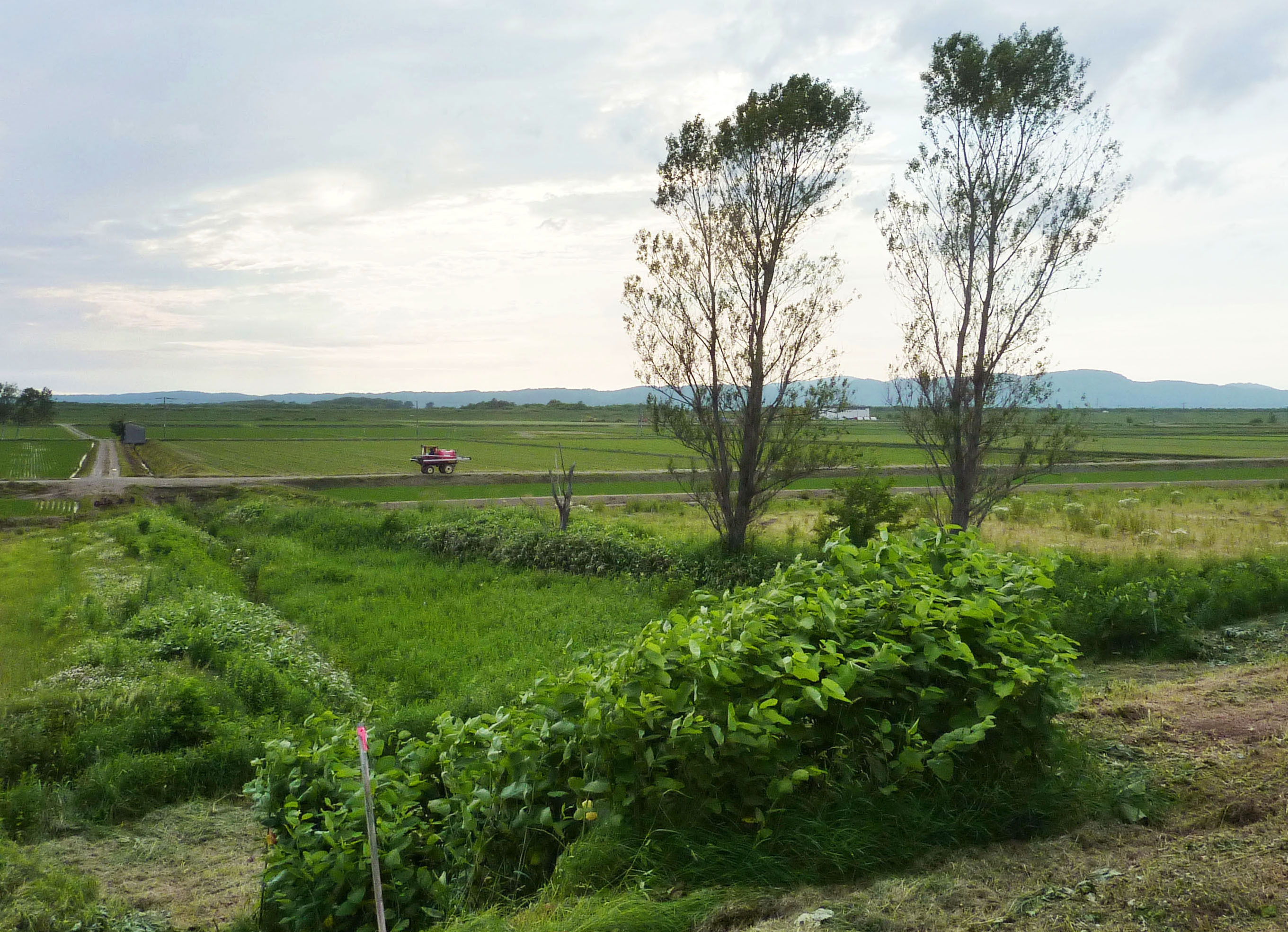 Hokkaido farm for test driving unmanned farming machines