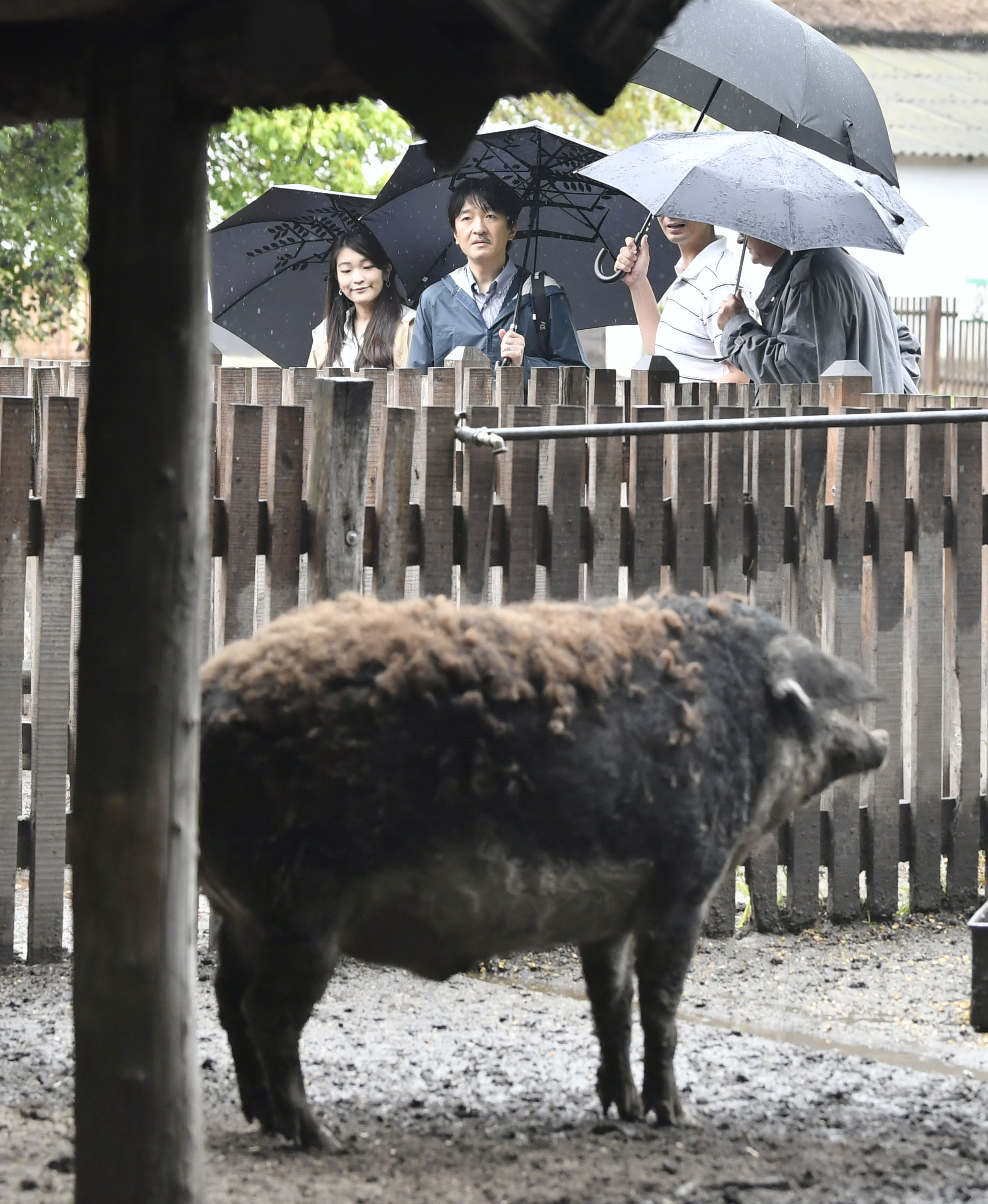 Prince Akishino, Princess Mako visit Hungary farm