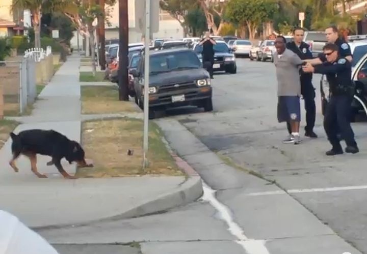 Pet Shot by Police in
California