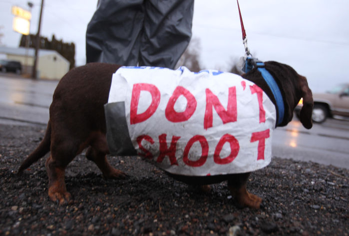 puppy protest puppycide