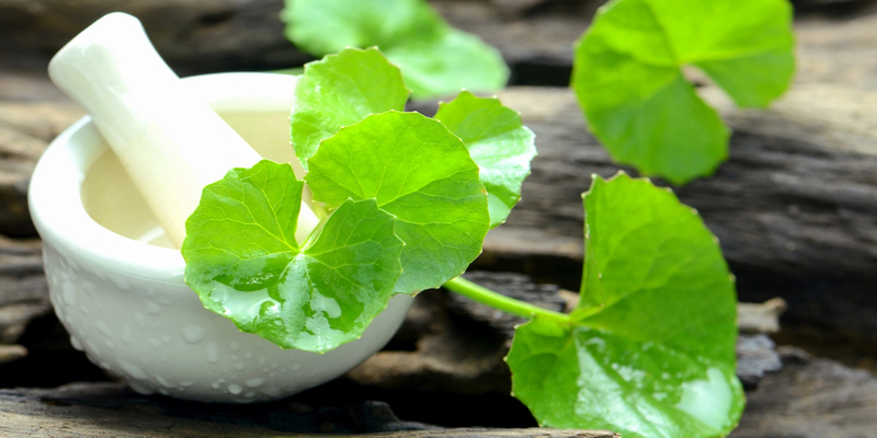 brahmi