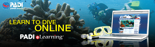 Our $99 Online Upgrade reduces classroom sessions to just 1!