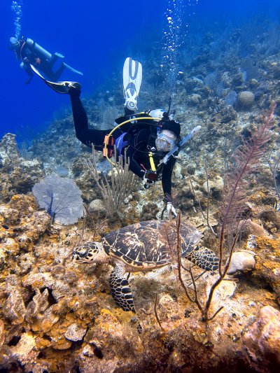 Little Cayman 2024 