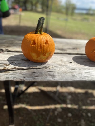2021 Underwater Pumpkin Hunt 