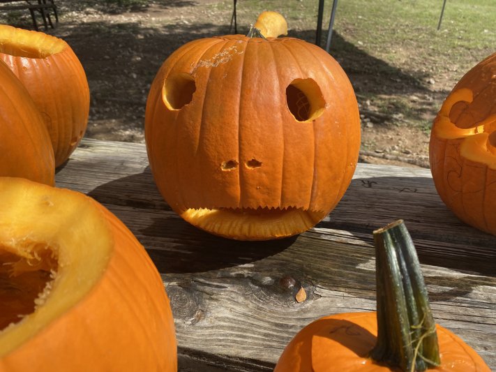 2021 Underwater Pumpkin Hunt 