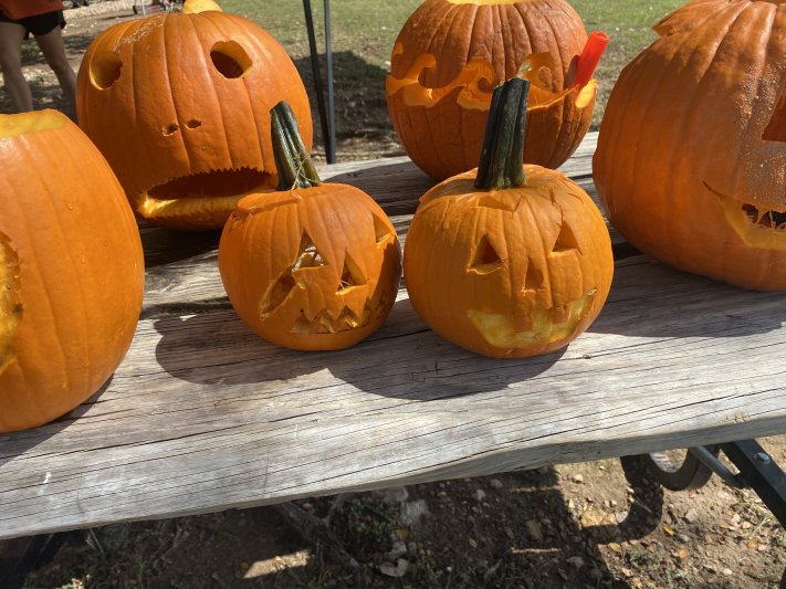 2021 Underwater Pumpkin Hunt 