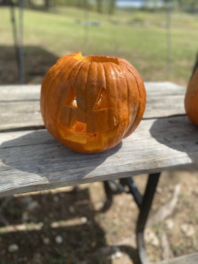 2021 Underwater Pumpkin Hunt 