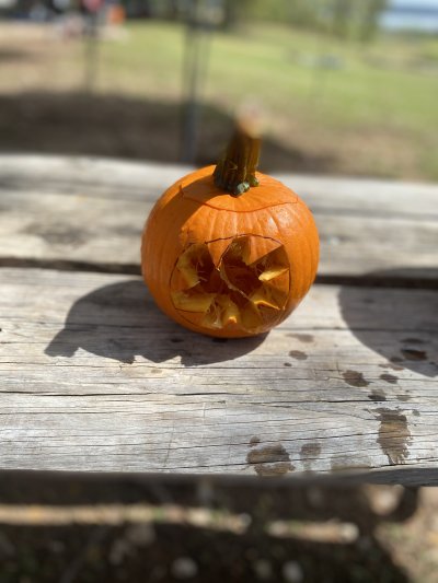 2021 Underwater Pumpkin Hunt 