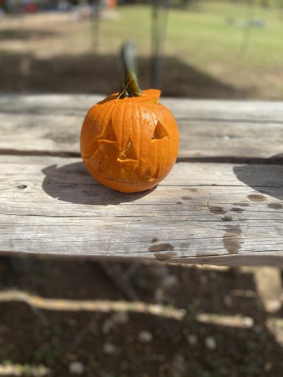 2021 Underwater Pumpkin Hunt 