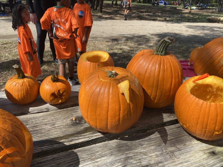 2021 Underwater Pumpkin Hunt 