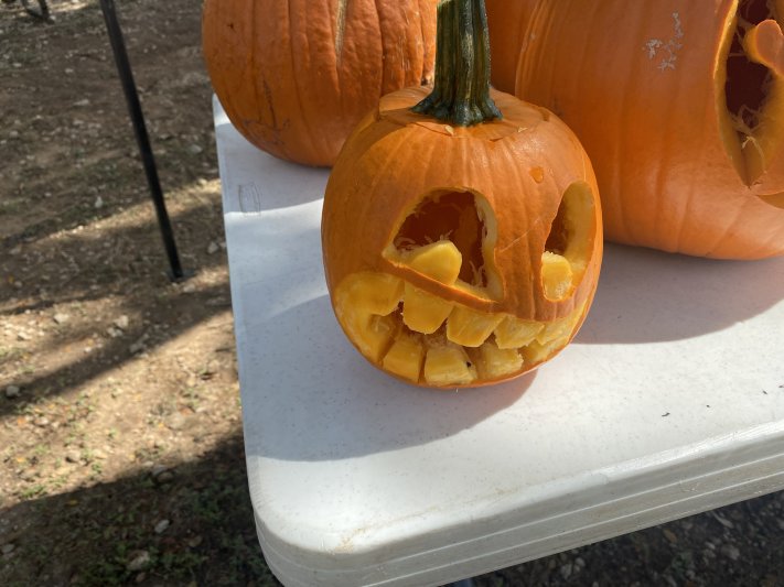 2021 Underwater Pumpkin Hunt 