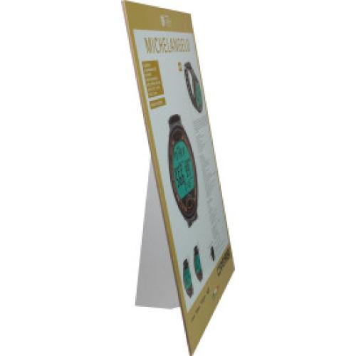 Cardboard Counter Advertising Standee (Michelangelo)