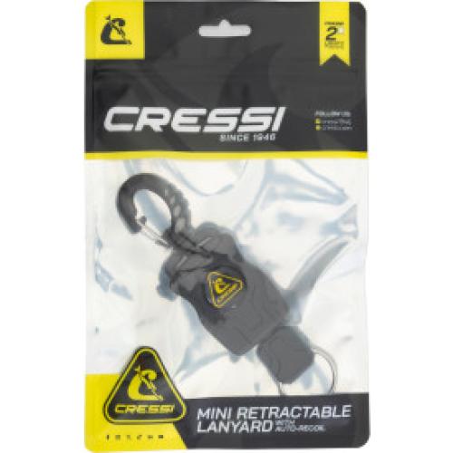 Mini Rectractable Lanyard