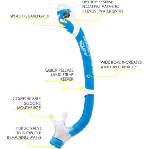 Pegaso & Iguana Dry (blue/white)