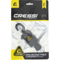 Mini Rectractable Lanyard