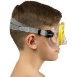 Pegaso & Iguana (clear/yellow)