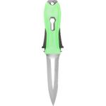 Lizard (green)