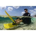 Clio (yellow) [41/42]