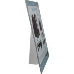 Cardboard Counter Advertising Standee (Scorpion)