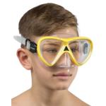 Pegaso & Iguana (clear/yellow)