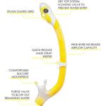 Pegaso & Iguana Dry (yellow/white)