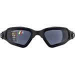 Clear Eyes (black/black - smoked lens)