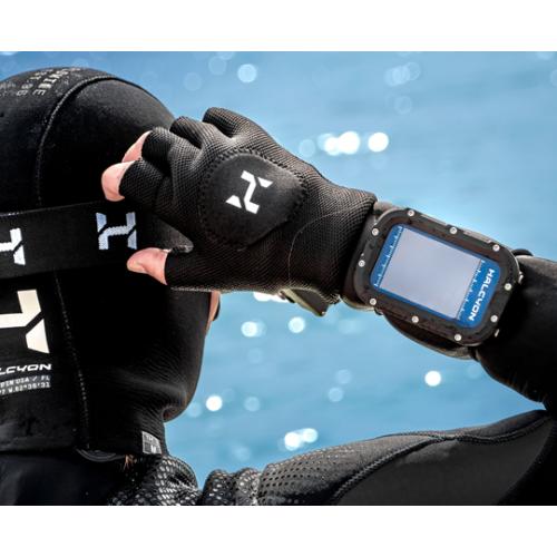 Halcyon Symbios Blue Handset Computer