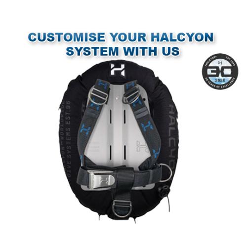 Halcyon (Customizer) Standard Single Cylinder BC System