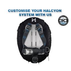 Halcyon (Customizer) Standard Single Cylinder BC System