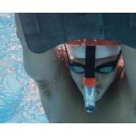 Zoggs Centre Line Snorkel