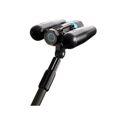 Paralenz 3rd Person Viewer