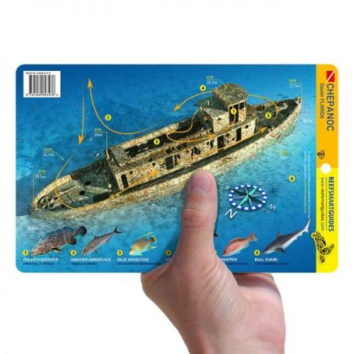 WATER PROOF DIVE CARD - CHEPANOC