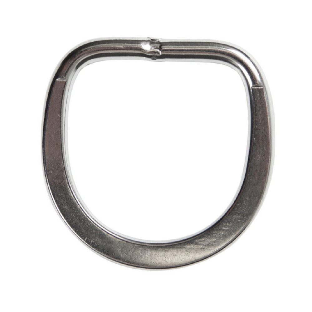 2.0" SS Flat Lifting DRing