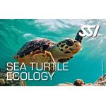 SSI MARINE INVERTEBRATE ECOLOGY SPECIALTY