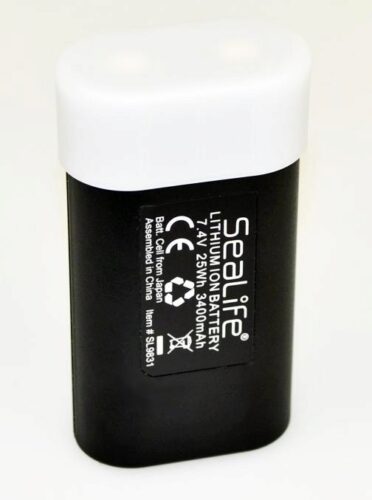 Spare Battery Sea Dragon