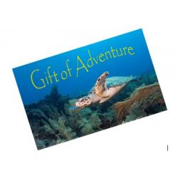 Gift Certificate