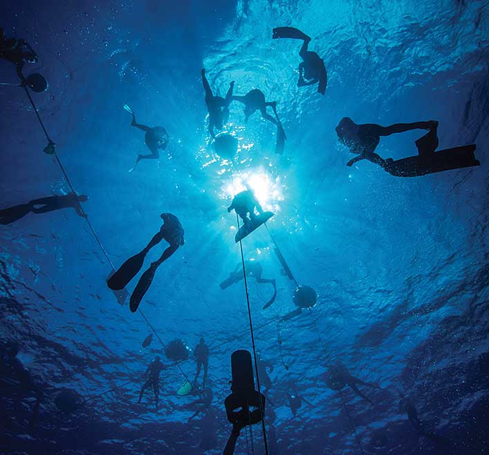 PFI Basic Freediver Classroom/Pool