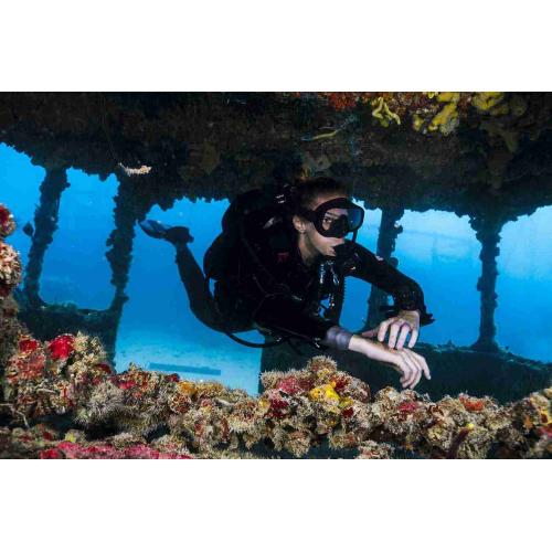 SDI Wreck Diver Specialty