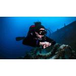 SDI Wreck Diver Specialty