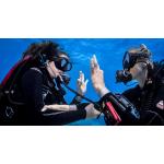 SDI SCUBA Discovery Program
