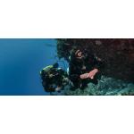 PADI Tec 40 CCR Instructor Course