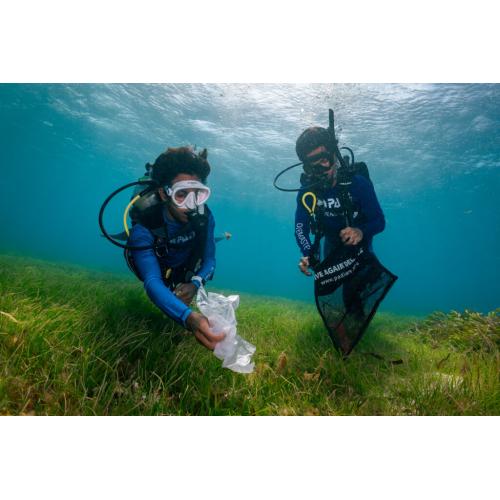eLearning - Dive Against Debris